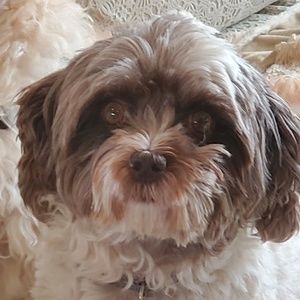 Meet your Posher, Deborah